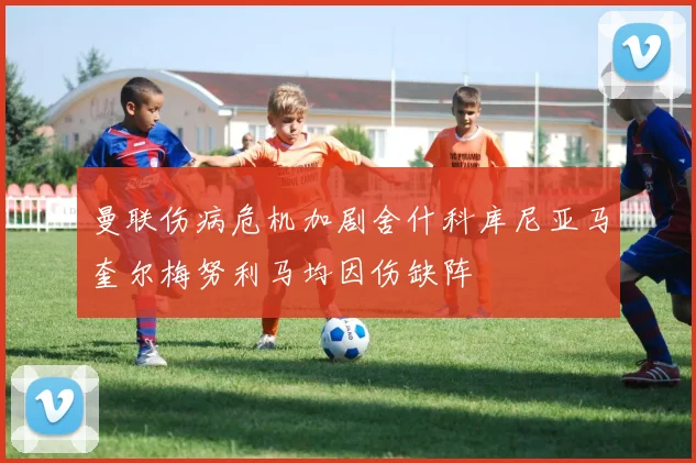 曼联伤病危机加剧舍什科库尼亚马奎尔梅努利马均因伤缺阵